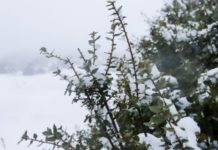 Χιόνισε στην Κοζάνη – Η Φλώρινα έπεσε από τους 21 βαθμούς… στο μηδέν
