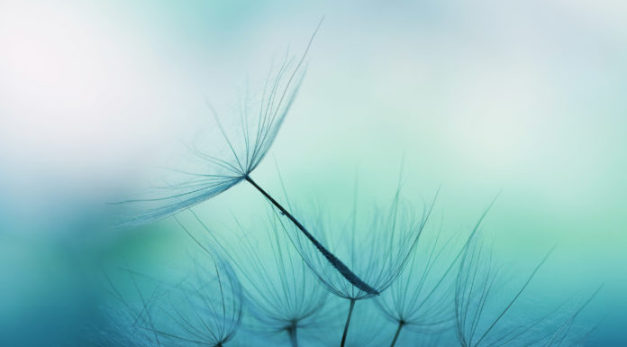 Μεγάλη υπόθεση να είσαι ήρεμος. Τίποτα δε σε αγγίζει. Μεγάλη υπόθεση να είσαι ήρεμος