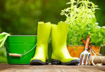 Ήρθε η Άνοιξη: Φτιάξετε τον Κήπο των Ονείρων σας!