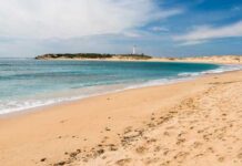 Ισπανία: Απολύμαναν με χλωρίνη παραλία για να «διώξουν» τον κορωνοϊό Απολύμαναν με χλωρίνη παραλία για να «διώξουν» τον κορωνοϊό
