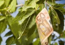 Τέλος οι καλλιέργειες από τους αγρότες με απόφαση του Eurogroup ε εννέα χρόνια από τώρα θα υπάρχουν μόνο τέσσερις εταιρείες, που θα αναλαμβάνουν την καλλιέργεια, παραγωγή, επεξεργασία των αγροτικών προϊόντων, τα οποία θα διοχετεύουν σε μία μόνο εταιρεία