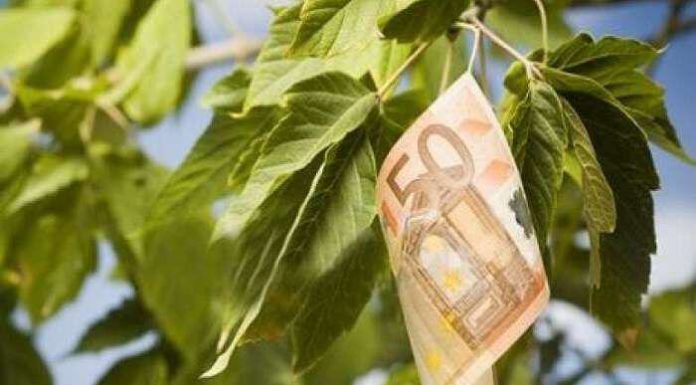 Τέλος οι καλλιέργειες από τους αγρότες με απόφαση του Eurogroup ε εννέα χρόνια από τώρα θα υπάρχουν μόνο τέσσερις εταιρείες, που θα αναλαμβάνουν την καλλιέργεια, παραγωγή, επεξεργασία των αγροτικών προϊόντων, τα οποία θα διοχετεύουν σε μία μόνο εταιρεία