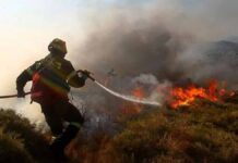 Φωτιά στη Λυγαριά – Μεγάλη κινητοποίηση της Πυροσβεστικής Φωτιά στη Λυγαριά – Μεγάλη κινητοποίηση της Πυροσβεστικής