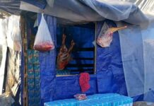 Κραυγή απόγνωσης κατοίκων της Μόριας: Κατά συρροή δολοφονίες τετράποδων – Υπαίθριο σφαγείο μέσα στη δομή – Οι κάτοικοι κοιμούνται στα μαντριά…. Κραυγή απόγνωσης κατοίκων της Μόριας