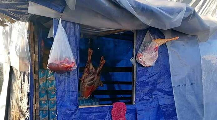 Κραυγή απόγνωσης κατοίκων της Μόριας: Κατά συρροή δολοφονίες τετράποδων – Υπαίθριο σφαγείο μέσα στη δομή – Οι κάτοικοι κοιμούνται στα μαντριά…. Κραυγή απόγνωσης κατοίκων της Μόριας