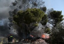 Φωτιά στη Λυγαριά: Εμπρησμός από αμέλεια Φωτιά Λυγαριά