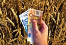 ΟΠΕΚΕΠΕ: Πληρώθηκαν 417 δικαιούχοι αγρότες – Δείτε τα ποσά ΟΠΕΚΕΠΕ: Πληρώθηκαν 417 δικαιούχοι αγρότες