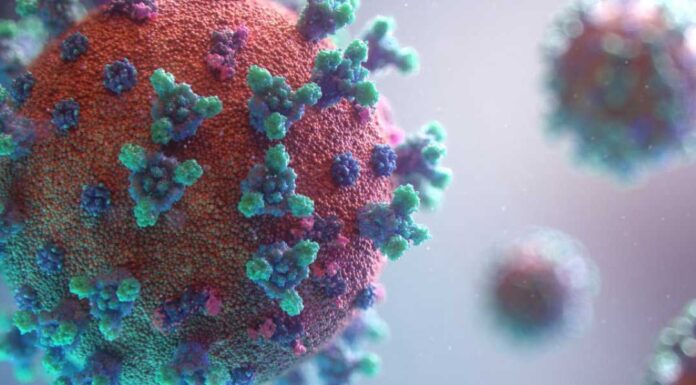 Άρση μέτρων: Με χαμηλό δείκτη μεταδοτικότητας οι πρώτες 8 μέρες της β’ φάσης της πανδημίας παρά τις απειλές… (βίντεο) Άρση μέτρων: Με χαμηλό δείκτη μεταδοτικότητας οι πρώτες 8 μέρες