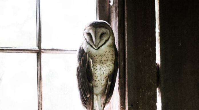 Μεγάλο σχολείο ή ζωή, ατελείωτο. Το σχολείο της ζωής