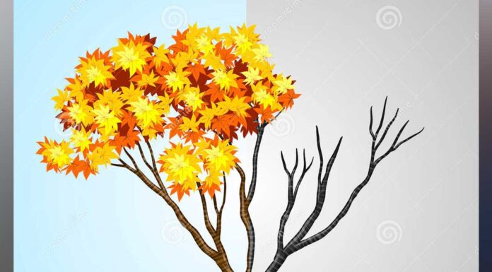 “ΤΟ ΜΙΣΟ ΔΕΝΤΡΟ ΞΕΡΑΜΕΝΟ ΧΩΡΙΣ ΦΥΛΛΑ.. ΞΕΡΕΤΕ ΓΙΑΤΙ; Ο ΜΙΣΟ ΔΕΝΤΡΟ ΞΕΡΑΜΕΝΟ ΧΩΡΙΣ ΦΥΛΛΑ.. ΞΕΡΕΤΕ ΓΙΑΤΙ