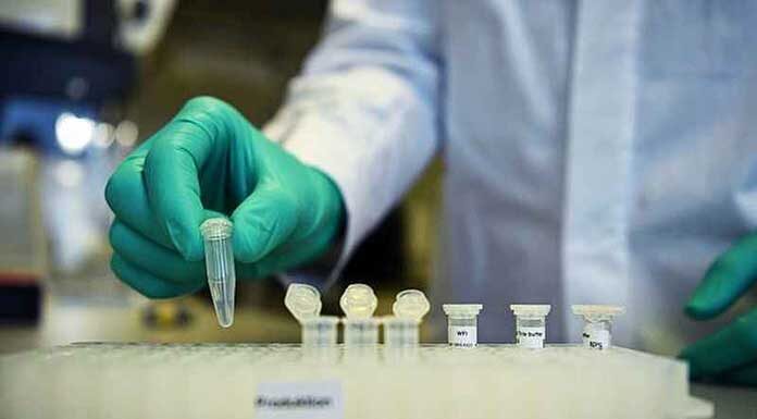 Χανιά: Νεαρός Σουηδός βρέθηκε θετικός στον κορονοϊό, είχε έρθει σε επαφή με αρκετό κόσμο Θετικός σε κρούσμα κορονοϊού βρέθηκε ένας άνδρας από την Σουηδία στα Χανιά.