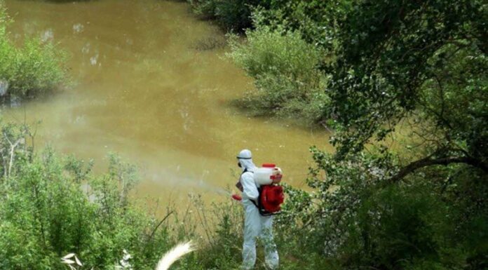 Σε πλήρη εξέλιξη η «μάχη» με τα κουνούπια στην Κρήτη Το πρόγραμμα θα διαρκέσει τρία χρόνια και η ένταση των ψεκασμών είναι κατά τους μήνες της άνοιξης, του καλοκαιριού και του φθινοπώρου.