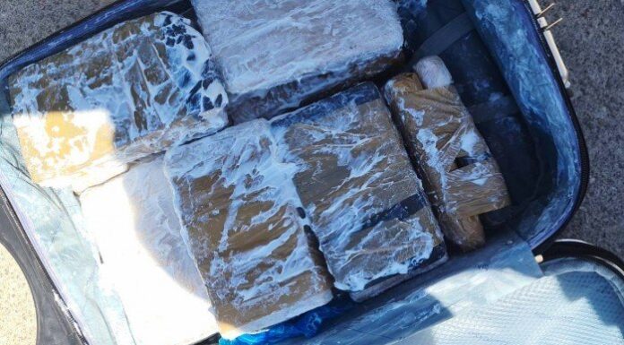 Εξαρθρώθηκε εγκληματική οργάνωση που διακινούσε ναρκωτικά στα Δωδεκάνησα και στην Κρήτη Συγκεκριμένα, τα μέλη συνελήφθησαν σήμερα το πρωί, στολιμάνι του Πειραιά,