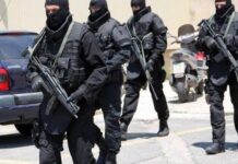 Κρήτη: Τεράστια επιχείρηση της Αστυνομίας στην ενδοχώρα