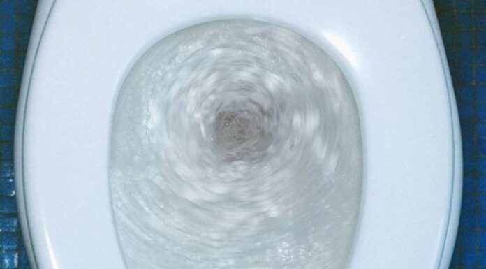 Κοροναϊός : Τι πρέπει να προσέχουμε στην τουαλέτα Κοροναϊός : Τι πρέπει να προσέχουμε στην τουαλέτα