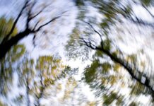 Ίλιγγος: Πώς να διώξετε τον ανεπιθύμητο επισκέπτη Σε ένα πολύ μεγάλο ποσοστό ο ίλιγγος είναι λαβυρινθικής αιτιολογίας.