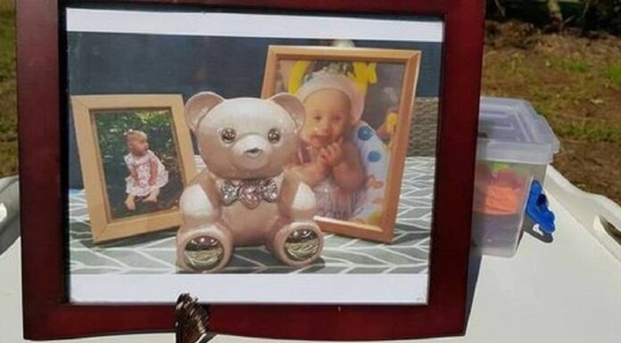 Φρίκη: Αρουραίοι κατασπάραξαν κοριτσάκι μες στην κούνια του Αρουραίοι κατασπάραξαν κοριτσάκι μες στην κούνια του