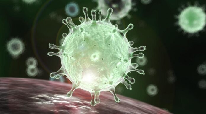 Οι ασυμτωματικοί ασθενείς δεν μπορούν να μεταδώσουν τον COVID 19 σε άλλους! ι ασυμτωματικοί ασθενείς δεν μπορούν να μεταδώσουν τον COVID 19 σε άλλους!