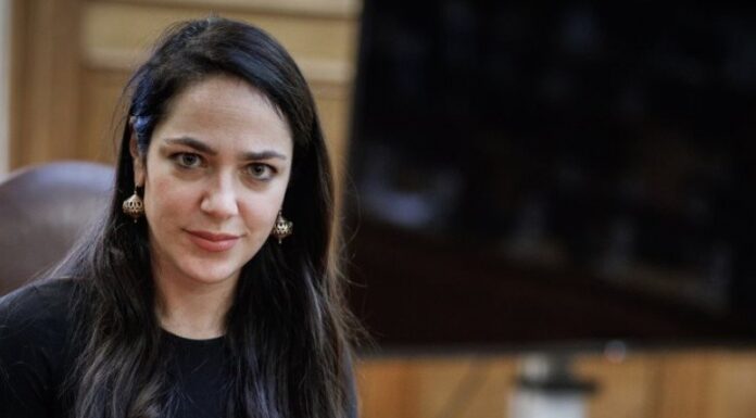 Δ. Μιχαηλίδου: Υιοθεσίες εξπρές – Τί αλλάζει για τους υποψήφιους γονείς Αλλάζουν όλα στο σύστημα υιοθεσιών και αναδοχών στην Ελλάδα