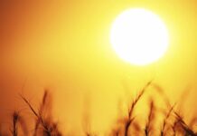 Έρχεται καύσωνας: Μέχρι και 42 βαθμούς θα ανέβει ο υδράργυρος! – Ποιες θα είναι οι δύσκολες ημέρες Κατά το παραπάνω χρονικό διάστημα, μάλιστα, οι μετεωρολόγοι εκτιμούν ότι θα επικρατήσουν συνθήκες καύσωνα σε αρκετές περιοχές της χώρας.
