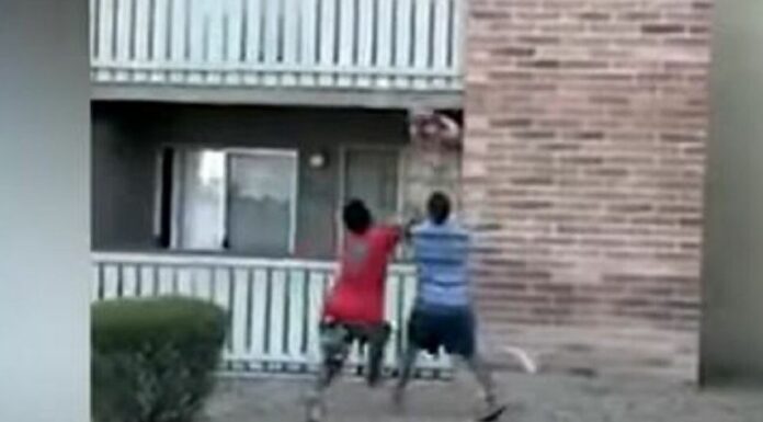 Παίκτης του ράγκμπι έσωσε μωρό που πέταξε από τον τρίτο όροφο η μητέρα του (βίντεο) Παίκτης του ράγκμπι έσωσε μωρό που πέταξε από τον τρίτο όροφο η μητέρα του (βίντεο)