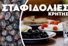 Ψαρολιές- Σταφιδολιές ή Αλατσολιές της Κρήτης