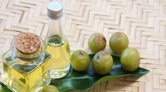 Πώς βοηθούν οι οικιακές θεραπείες για την ανάπτυξη των μαλλιών με το Amla; (Ινδικό φραγκοστάφυλο) Πώς βοηθούν οι οικιακές θεραπείες για την ανάπτυξη των μαλλιών