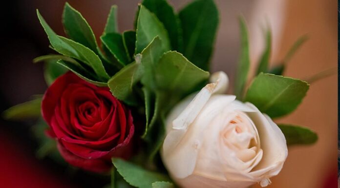 Φωτογράφος γάμων αποκαλύπτει: Η κίνηση στη δεξίωση …μάλλον θα χωρίσετε Η κίνηση στη δεξίωση που δείχνει ότι μάλλον θα… χωρίσετε