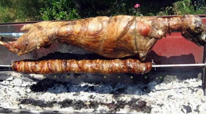 Μπορούν οι σκύλοι να τρώνε κόκαλα αρνιού; 3 Κίνδυνοι από κόκαλα αρνιού για σκύλους, 3 συμβουλές Μπορούν οι σκύλοι να τρώνε κόκαλα αρνιού;