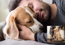 Πόσο βαρύς πρέπει να είναι ο σκύλος μου; Συμβουλές για τον υπολογισμό του βάρους του σκύλου Πόσο βαρύς πρέπει να είναι ο σκύλος μου;