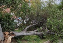 Προβλήματα από την κακοκαιρία – 157 κλήσεις δέχθηκε η Πυροσβεστική – Σε εξέλιξη έρευνες για 36χρονο αγνοούμενο στην Εύβοια Προβλήματα από την κακοκαιρία - 157 κλήσεις