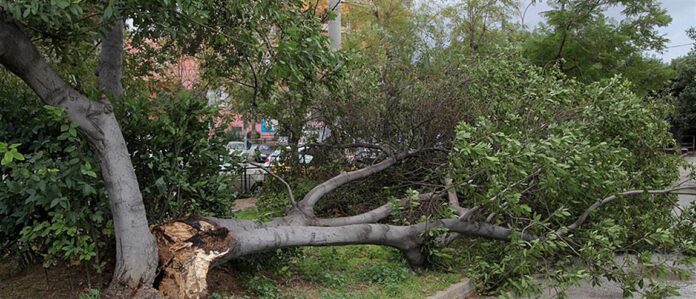 1100-c1161b1d-849e-44d5-a426-81a49eb8f70f_252863_320415_type13262 Προβλήματα από την κακοκαιρία - 157 κλήσεις