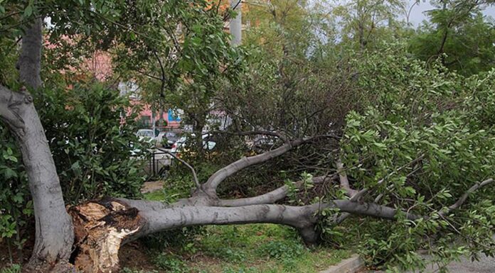 Προβλήματα από την κακοκαιρία – 157 κλήσεις δέχθηκε η Πυροσβεστική – Σε εξέλιξη έρευνες για 36χρονο αγνοούμενο στην Εύβοια Προβλήματα από την κακοκαιρία - 157 κλήσεις