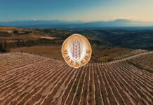 ΟΠΕΚΕΠΕ: Πότε θα πληρωθούν τα αγροτικά προγράμματα και οι ενισχύσεις