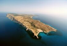 Η δήμαρχος Γαύδου προσπαθεί να ξηλώσει με τα χέρια της τις καλύβες των «survivors» Η προβολή της εκπομπής «Αυτοψία» για τους ερημίτες της Γαύδου «κινητοποίησε» τη δήμαρχο Λίλιαν Στεφανάκη