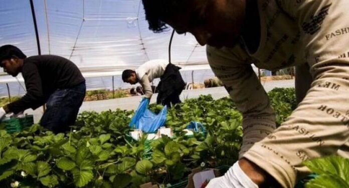 Τεράστιο θέμα με τους εργάτες γης – Ζητούν άμεση λύση οι αγρότες