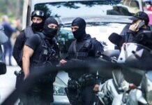 Μεγάλη αστυνομική επιχείρηση στο Ηράκλειο για ναρκωτικά – Εντοπίστηκαν δύο φυτείες κάνναβης