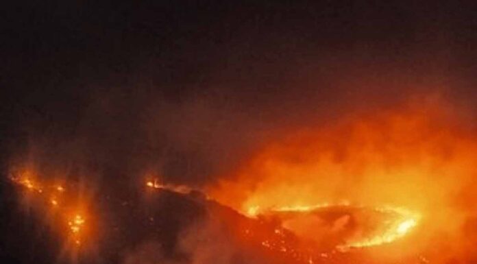 Κρύα Σητείας: Ολονύχτια μάχη με τις φλόγες – παραμένουν δυνάμεις στην περιοχή
