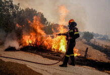 Εθνικό Πάρκο Δαδιάς: Κατακαίει τα πάντα για τρίτη ημέρα η καταστροφική πυρκαγιά– Συνελήφθησαν 9 αλλοδαποί Εθνικό Πάρκο Δαδιάς: Κατακαίει τα πάντα για τρίτη ημέρα η καταστροφική πυρκαγιά– Συνελήφθησαν 9 αλλοδαποί