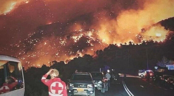 Κατακαήκαν τα δεντρά κι η ξακουστή Βουβάλα, για να σβηστούνε…
