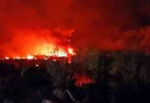 Θρίλερ με το φορτίο της συντριβής του An-12 στην Καβάλα: Καμία επίσημη ενημέρωση για το περιεχόμενο των 12 τόνων που μετέφερε! Θρίλερ με το φορτίο της συντριβής του An-12 στην Καβάλα
