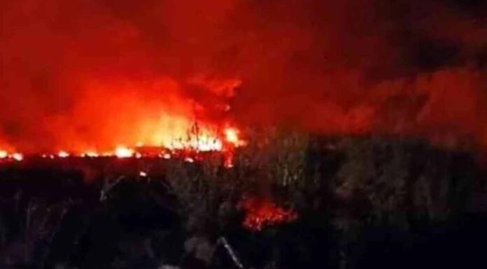 Θρίλερ με το φορτίο της συντριβής του An-12 στην Καβάλα: Καμία επίσημη ενημέρωση για το περιεχόμενο των 12 τόνων που μετέφερε! Θρίλερ με το φορτίο της συντριβής του An-12 στην Καβάλα