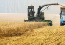 Οριστικό: Η Ρωσία θα εξάγει σιτηρά μόνο σε φιλικές χώρες και με πληρωμή μόνο σε ρούβλια Οριστικό: Η Ρωσία θα εξάγει σιτηρά μόνο σε φιλικές χώρες και με πληρωμή μόνο σε ρούβλια
