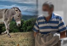 Ζίτσα Ιωαννίνων: Τέλος το μαρτύριο για το γαϊδουράκι! Του έγινε… ευθανασία – Οργή από τους συγχωριανούς για τον πρώην αντιδήμαρχο