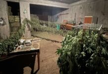Ζωνιανά: Παραδόθηκαν στην αστυνομία ο πατέρας και οι δυο γιοι που αναζητούνταν