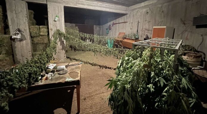Ζωνιανά: Παραδόθηκαν στην αστυνομία ο πατέρας και οι δυο γιοι που αναζητούνταν