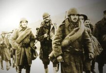 28η Οκτωβρίου: Οι αφανείς ήρωες του ‘40 – Μουλάρια και άλογα από την Κρήτη στον πόλεμο