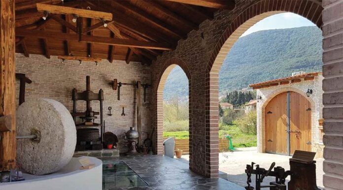 Με πρόγραμμα από 15 Μαΐου όποιος έχει ελιές φτιάχνει ελαιοτριβείο