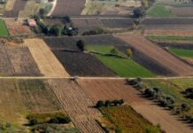 Κρήτη: Χάνουν την αξία τους τα χωράφια – Από 1.000 έως 3.000 ευρώ το στρέμμα