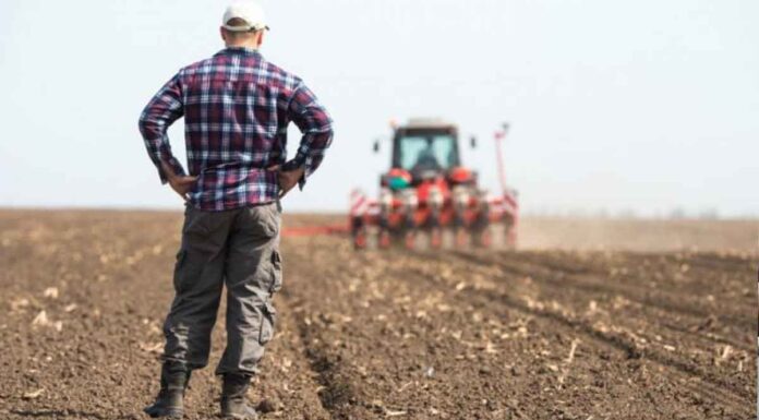 Κρήτη – αγρότες: Τα πάνω κάτω από τη νέα ΚΑΠ – Πότε και τι θα χάσουν οι παραγωγοί